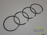 SEGMENTI MOTOR Renault