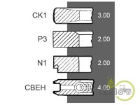 SEGMENTI MOTOR Renault