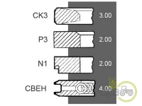 SEGMENTI MOTOR Renault