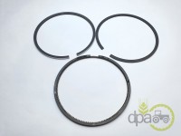 SEGMENTI MOTOR Renault