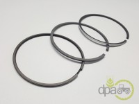 SEGMENTI MOTOR Renault