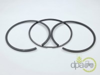 SEGMENTI MOTOR Renault