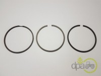 SEGMENTI MOTOR Renault