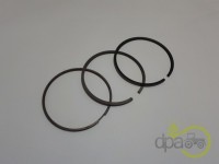 SEGMENTI MOTOR Renault