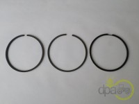 SEGMENTI MOTOR Renault