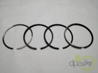 SEGMENTI MOTOR Renault