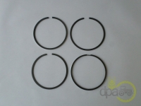 SEGMENTI MOTOR Renault