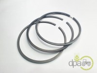 SEGMENTI MOTOR R1 Ford