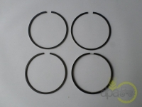 SEGMENTI MOTOR R3 Ford