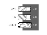 SEGMENTI MOTOR Renault