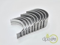 SET CUZINETI PALIER R1 Landini