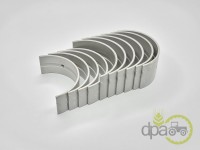 SET CUZINETI PALIER R2 Fiat