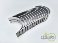 SET CUZINETI PALIER STD Landini