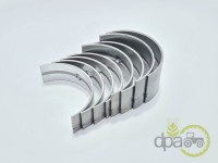 SET CUZINETI PALIER STD Landini