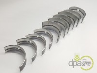 SET CUZINETI PALIER STD Massey Ferguson