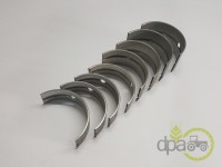 SET CUZINETI PALIER STD Massey Ferguson