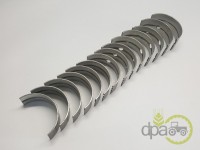 SET CUZINETI PALIER STD Landini