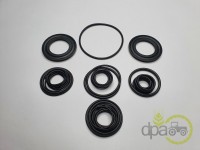 SET ORINGURI CHIULASA Fiat