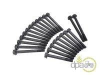 SET SURUB CHIULASA Landini