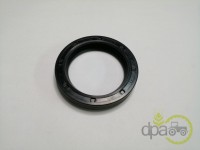 SIMERING FATA ARBORE MOTOR Ford