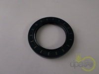 SIMERING PRIZA PUTERE Case IH