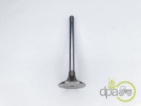 SUPAPA EVACUARE Landini