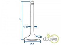 SUPAPA EVACUARE Landini