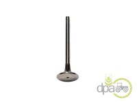 SUPAPA EVACUARE Fiat