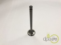 SUPAPA EVACUARE Ford