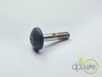 SURUB GEAM SPATE Fiat